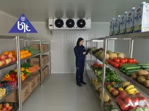 Solusi Cold Storage Profesional Suhu Chiller